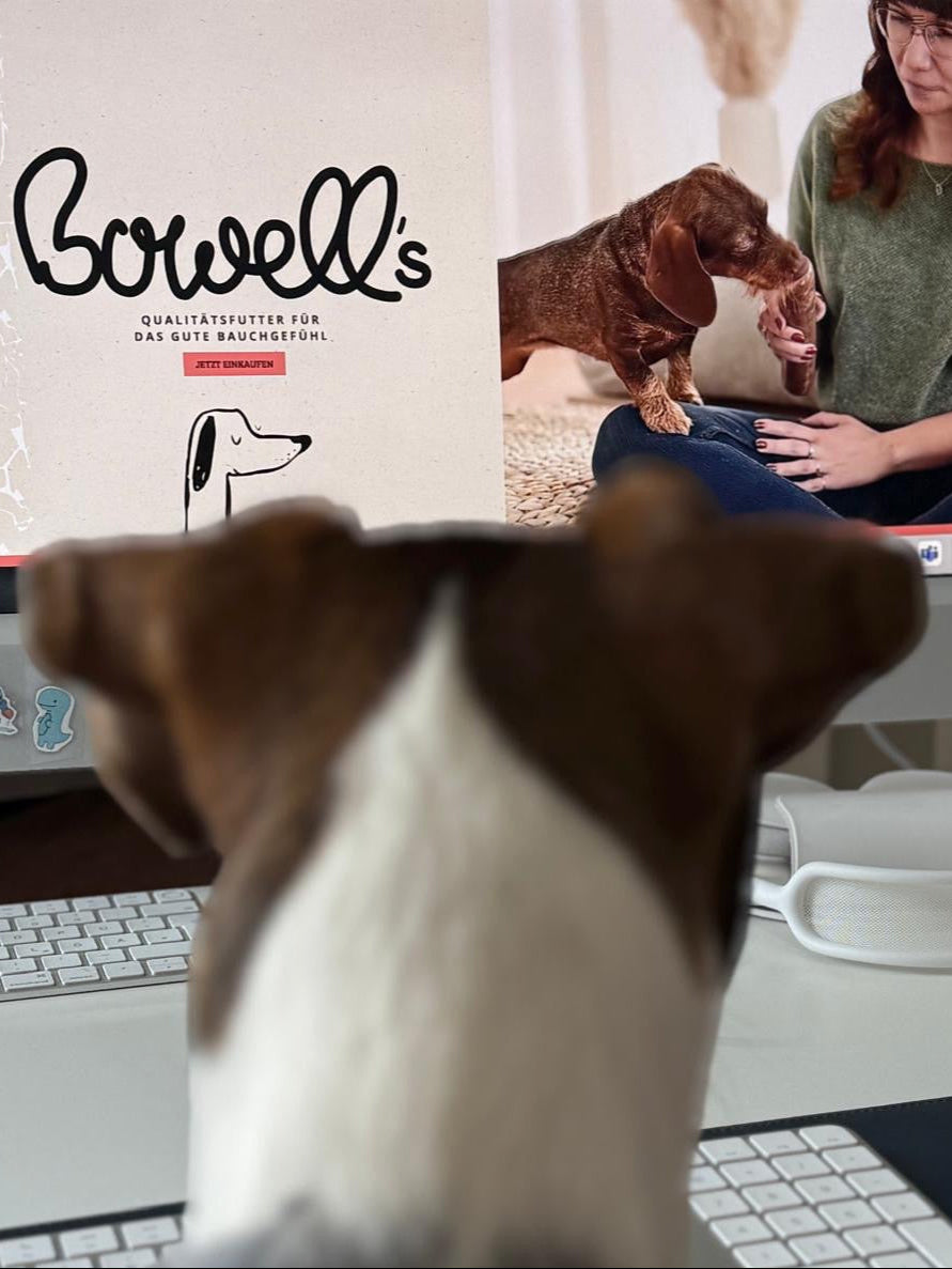 Bowells Bestellung mit Hund