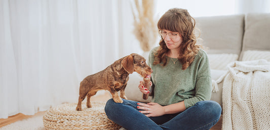 Weicher Kot beim Hund: Was kann am Futter liegen?