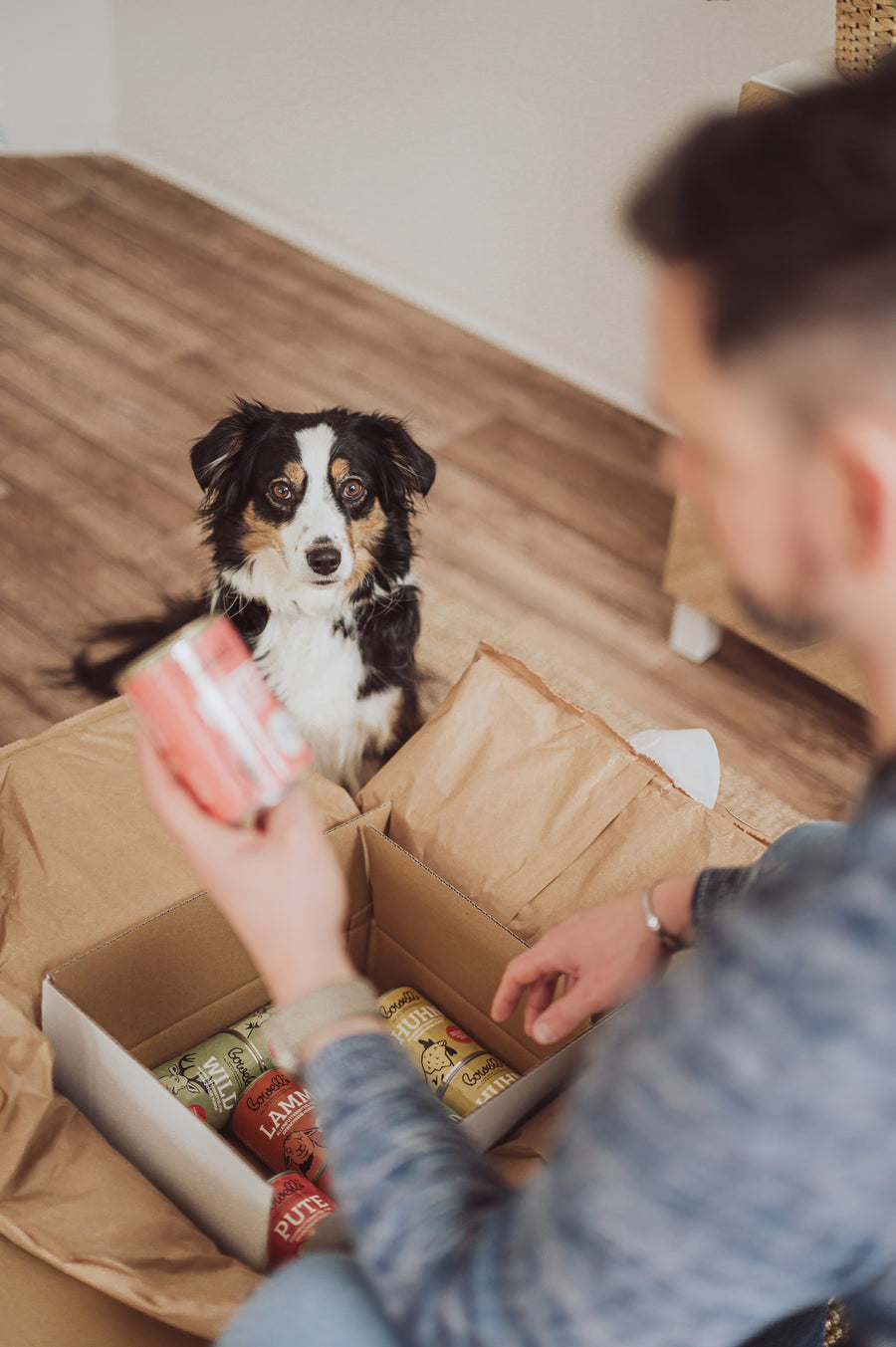 Person hält Bowell’s Pute-Dose vor Hund an geöffneter Versandbox mit Hundefutter