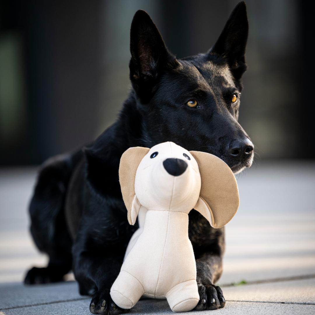 Hundespielzeug Dackel Pepe – robuster Spielkamerad aus Denim
