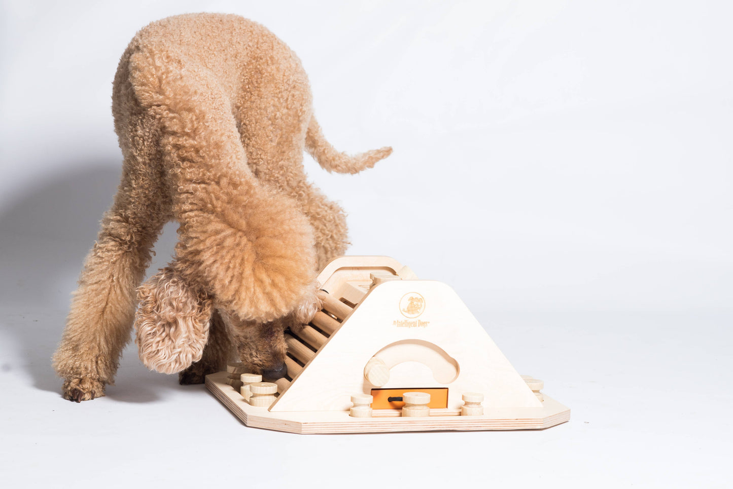 Denkspiel Pyramide – Intelligenzspielzeug für Hunde