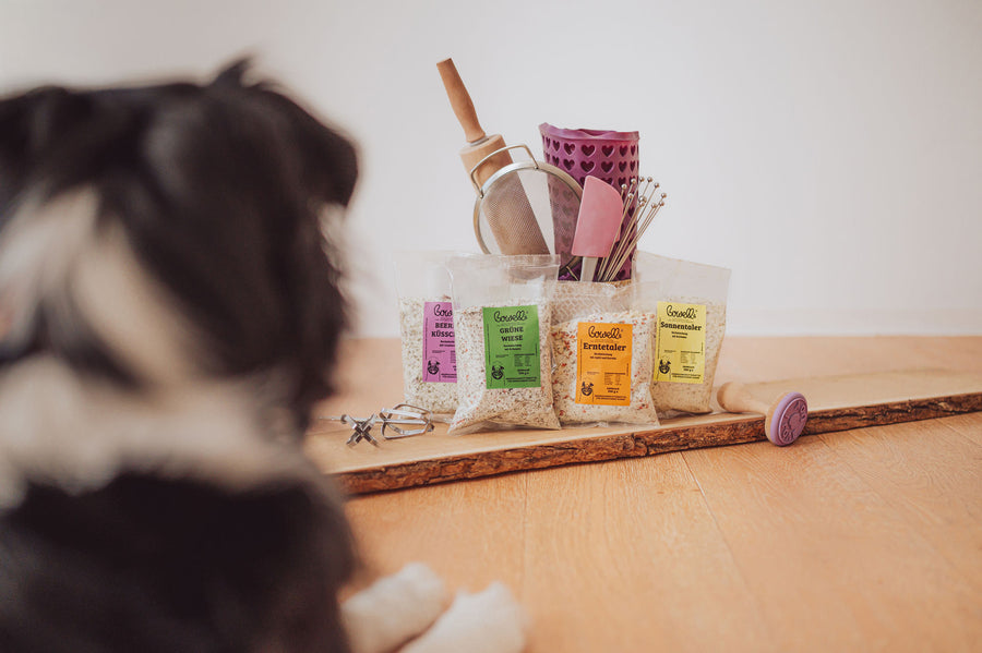 Bowell’s Backmischungen mit Hund und Backzubehör auf Holzbrett