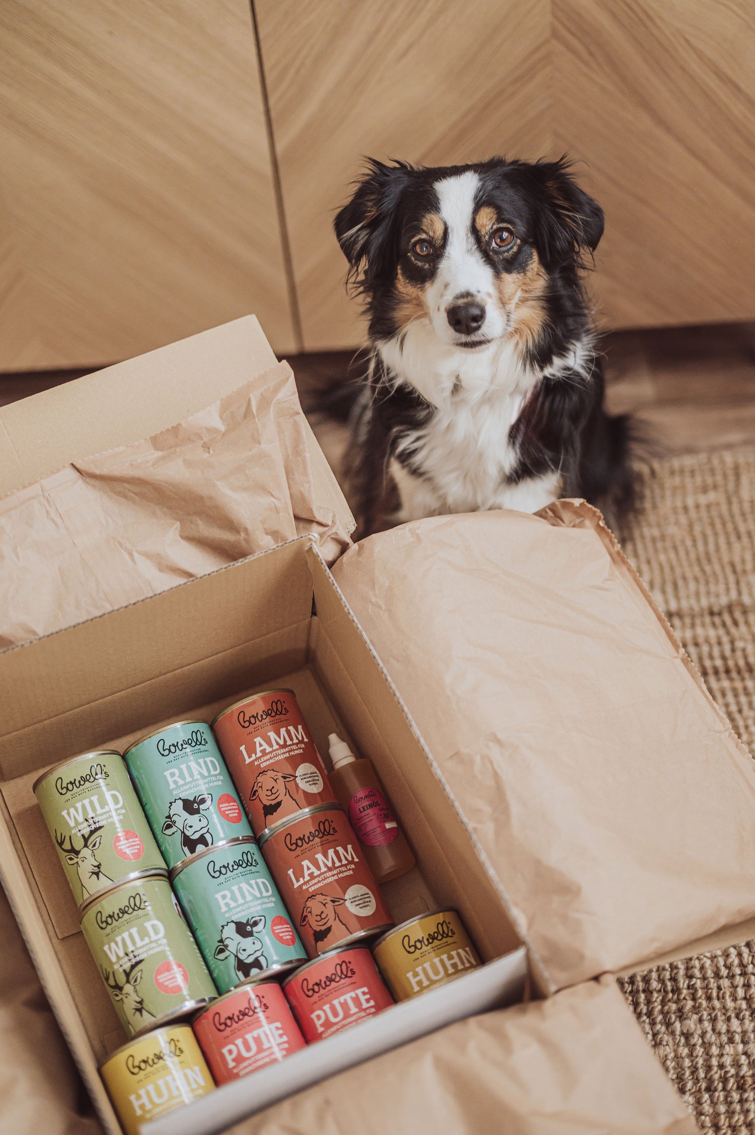 Hund vor geöffneter Bowell’s Futterbox mit Hundefutter-Dosen und Öl
