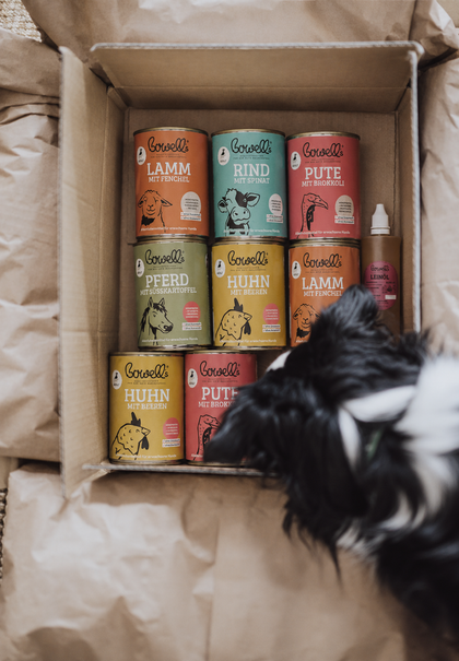 Hund guckt in geöffnetes Paket mit Bowells Produkten