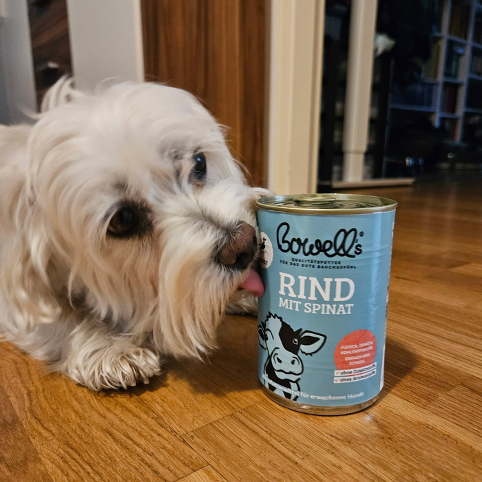 Kundenhund mit Bowell’s Hundefutter