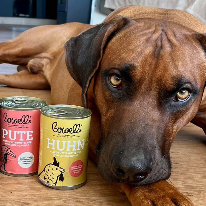 Kundenhund mit Bowell’s Hundefutter