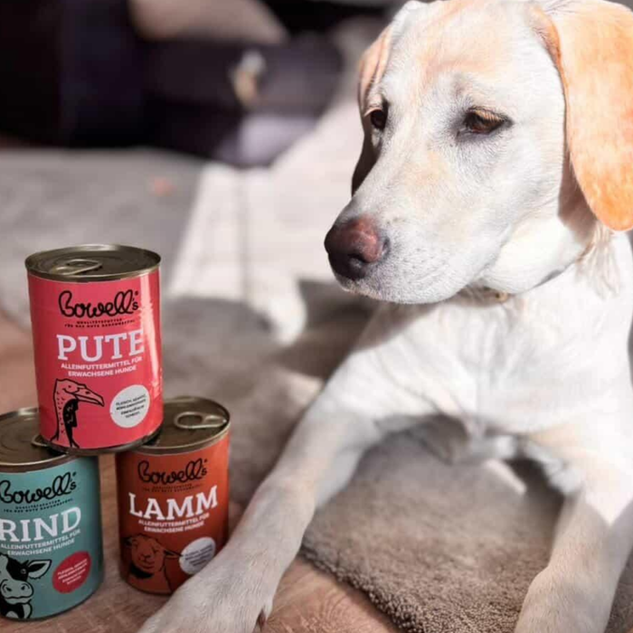 Kundenhund mit Bowell’s Hundefutter