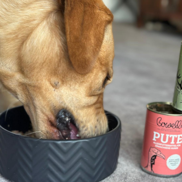 Kundenhund mit Bowell’s Hundefutter