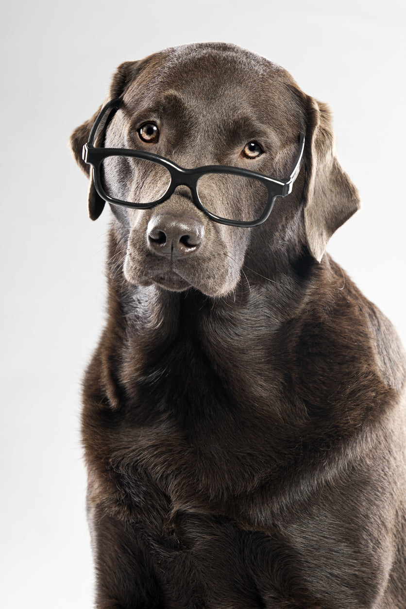Choc-Lab in Gläsern