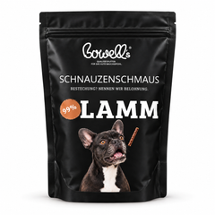 Hund liegt auf Backmatte