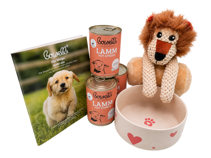 3 Dosen Lamm Welpe, Welpenfibel, Napf und Kuscheltier mit Decke