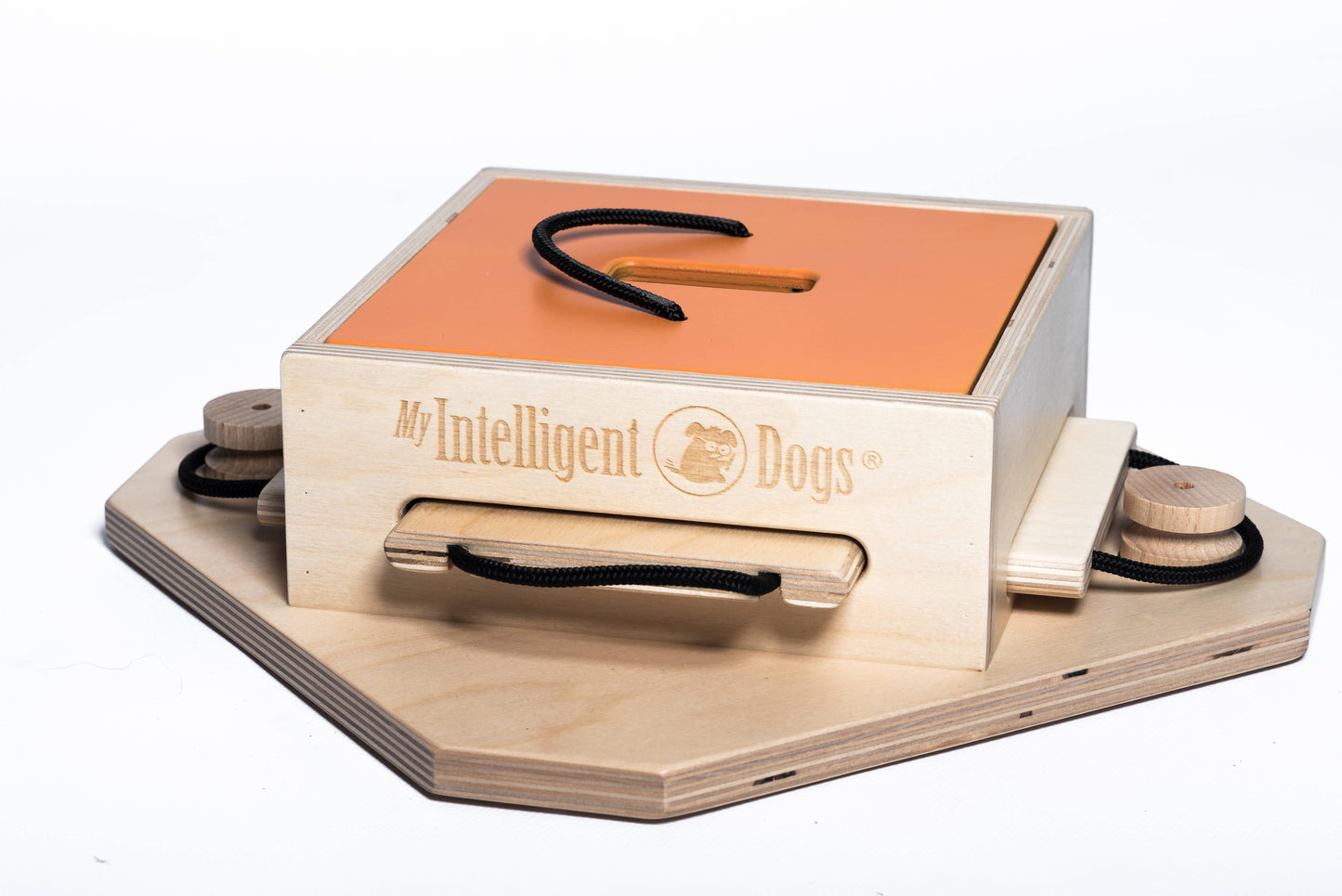 Denkspiel Trouble – Intelligenzspielzeug für Hunde