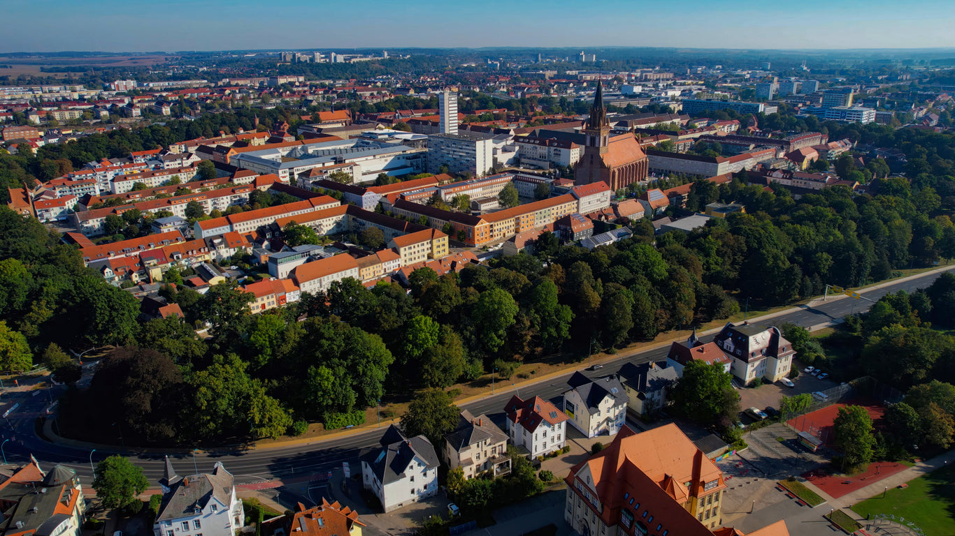 Aus Neubrandenburg – für Hunde weit über MV hinaus